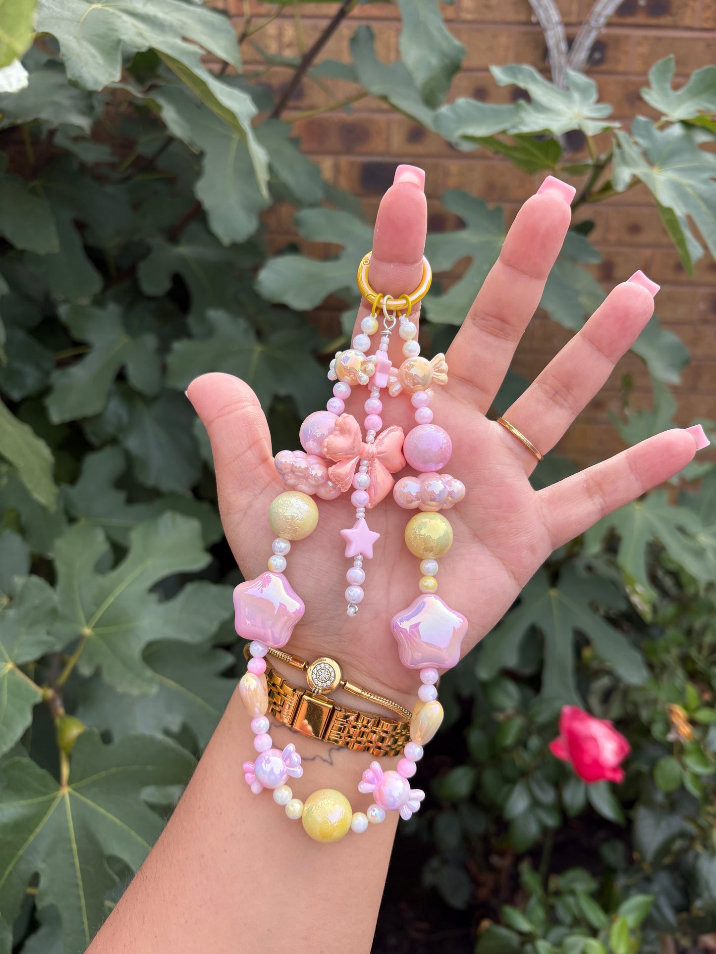 🐬✨🌺 GALLERY 🌺✨🐬